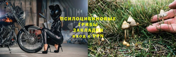 ALPHA PVP Аркадак