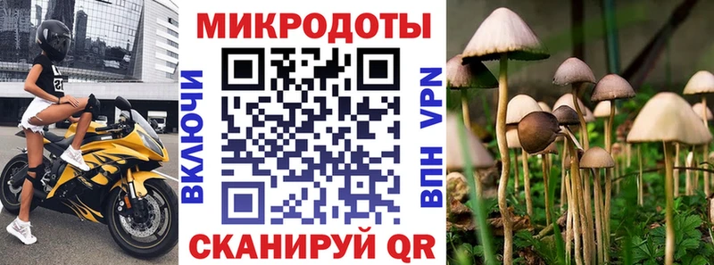 где найти   Белорецк  Псилоцибиновые грибы Psilocybine cubensis 